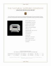 Jewelry Scan Report