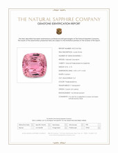 Jewelry Scan Report