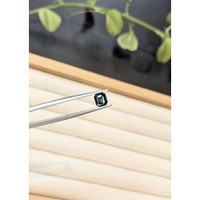 1.17 Ct. Bi Color / Parti Sapphire from Madagascar Life Style