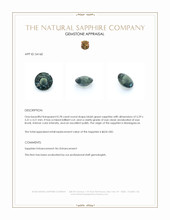 Jewelry Appraisal