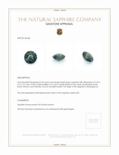 Jewelry Appraisal
