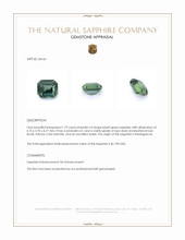 Jewelry Appraisal