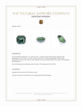 Jewelry Appraisal