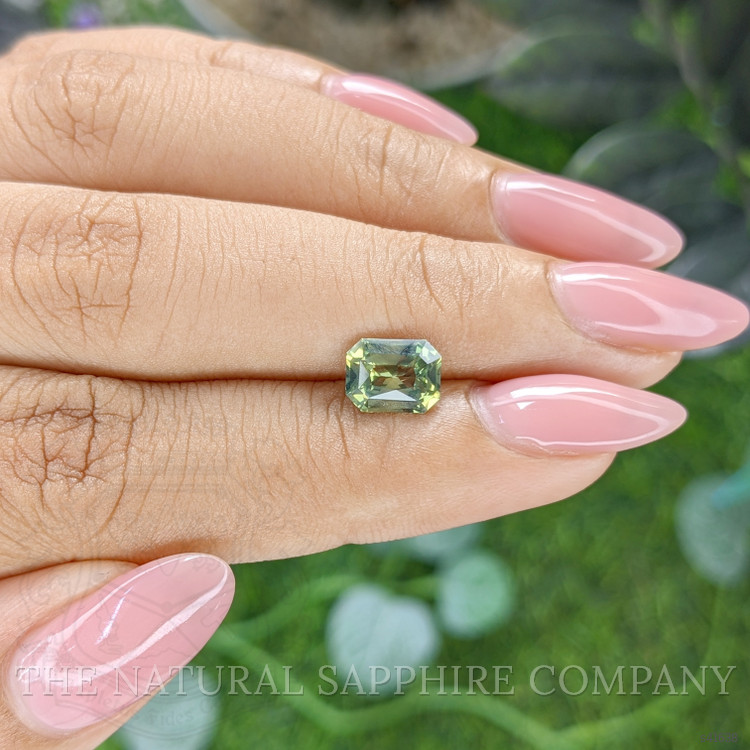 1.69 Ct. Yellowish Green Sapphire from Ceylon (Sri Lanka)
