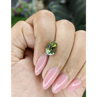 3.04 Ct. Yellowish Green Sapphire from Ceylon (Sri Lanka) Life Style