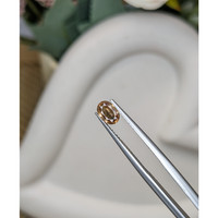 0.71 Ct. Brown Sapphire from Ceylon (Sri Lanka) Life Style