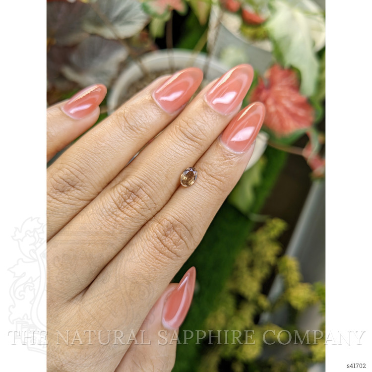 0.71 Ct. Brown Sapphire from Ceylon (Sri Lanka)