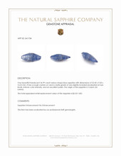 36.99 Ct. Blue Sapphire from Ceylon (Sri Lanka) Appraisal