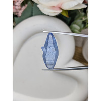 21.60 Ct. Blue Sapphire from Ceylon (Sri Lanka) Life Style