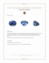 2.83 Ct. Blue Sapphire from Ceylon (Sri Lanka) Appraisal