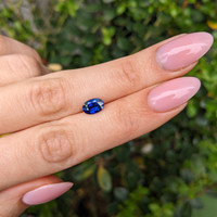 1.71 Ct. Blue Sapphire from Ceylon (Sri Lanka) Life Style
