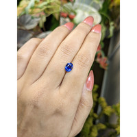 1.63 Ct. Blue Sapphire from Ceylon (Sri Lanka) Life Style