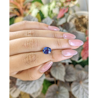 2.46 Ct. Blue Sapphire from Ceylon (Sri Lanka) Life Style