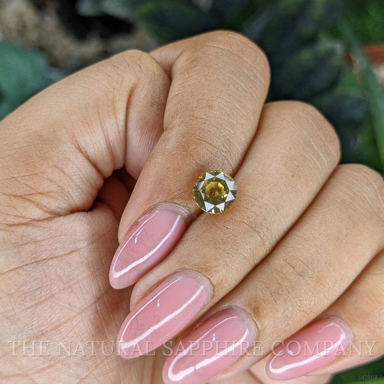 2.03 Ct. Yellow Sapphire from Ceylon (Sri Lanka)