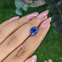3.10 Ct. Blue Sapphire from Ceylon (Sri Lanka) Life Style