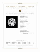 Jewelry Scan Report