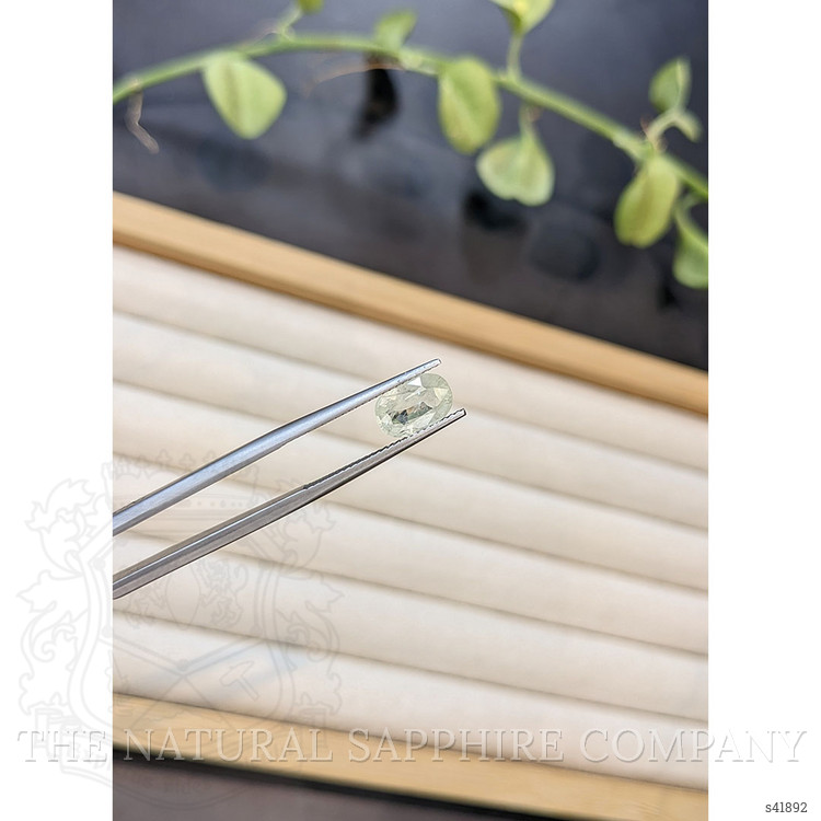 1.80 Ct. Greenish Yellow Sapphire from Burma (Myanmar)