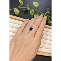 2.69 Ct. Blue Sapphire from Ceylon (Sri Lanka) Life Style