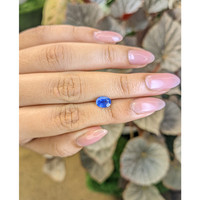 1.13 Ct. Blue Sapphire from Ceylon (Sri Lanka) Life Style