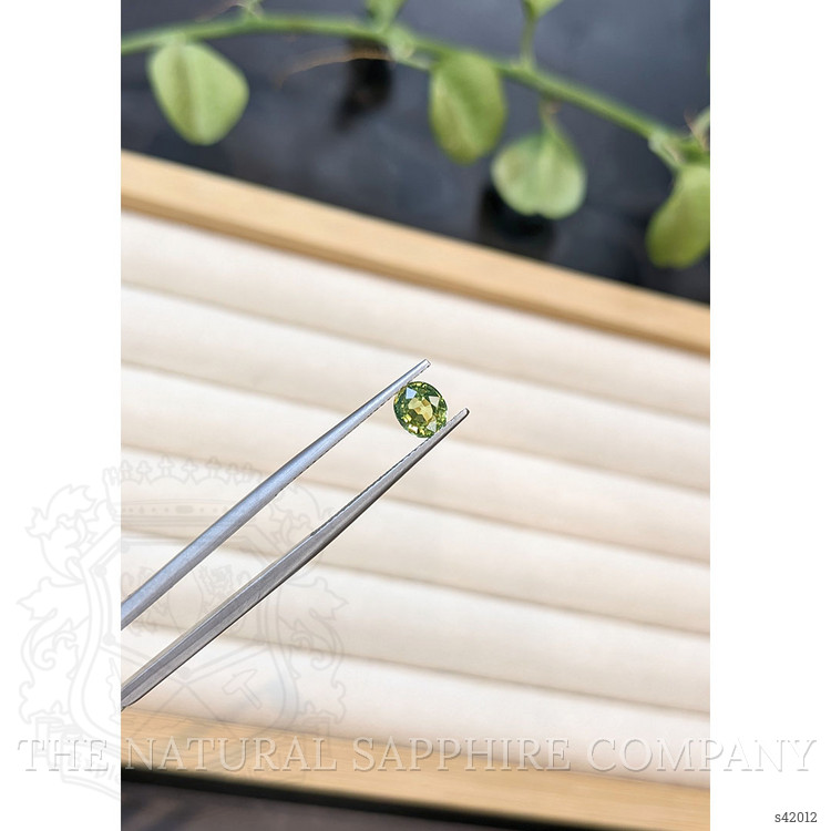 0.96 Ct. Yellowish Green Sapphire from Ceylon (Sri Lanka)