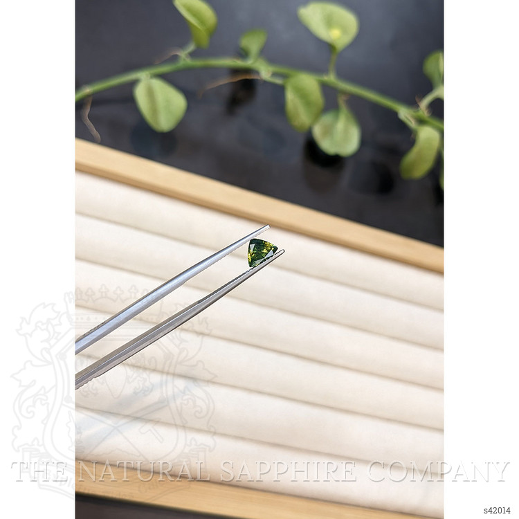 0.95 Ct. Yellowish Green Sapphire from Ceylon (Sri Lanka)