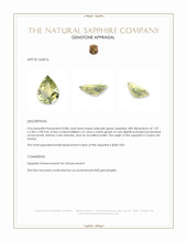 0.88 Ct. Yellowish Green Sapphire from Ceylon (Sri Lanka) Appraisal