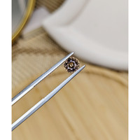 1.03 Ct. Brown Sapphire from Ceylon (Sri Lanka) Life Style