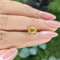 1.87 Ct. Yellow Sapphire from Ceylon (Sri Lanka) Life Style