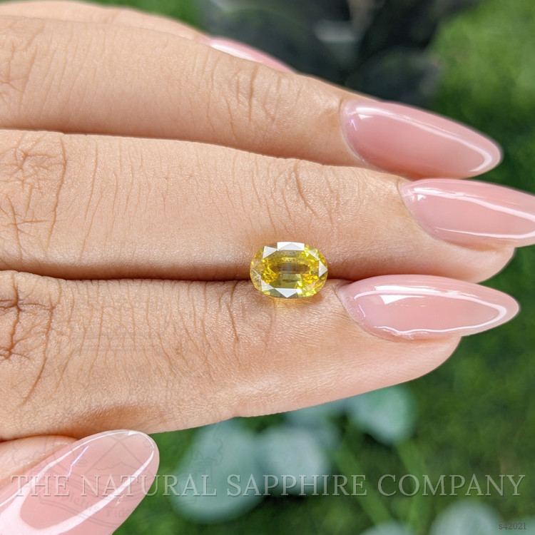 1.87 Ct. Yellow Sapphire from Ceylon (Sri Lanka)