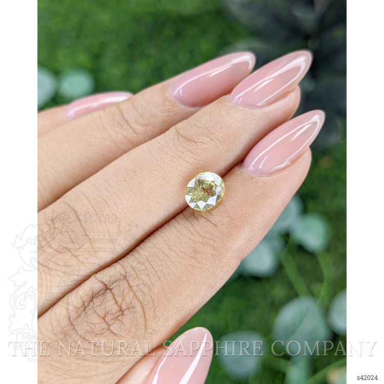 1.60 Ct. Yellow Sapphire from Ceylon (Sri Lanka)