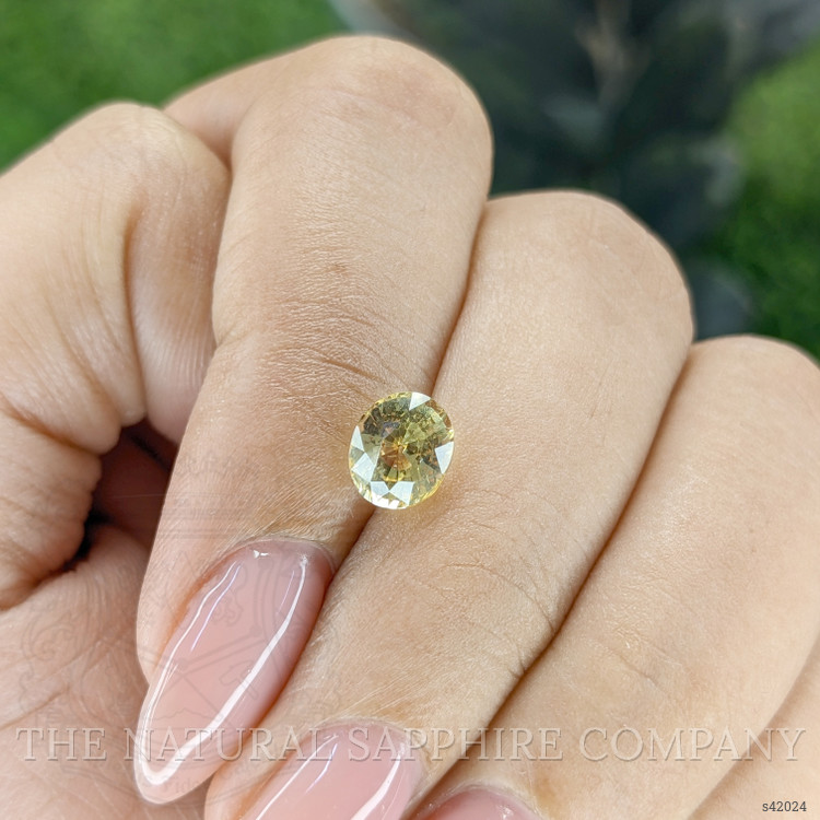 1.60 Ct. Yellow Sapphire from Ceylon (Sri Lanka)