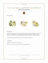 3.04 Ct. Yellow Sapphire from Ceylon (Sri Lanka) Appraisal