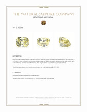 3.04 Ct. Yellow Sapphire from Ceylon (Sri Lanka) Appraisal