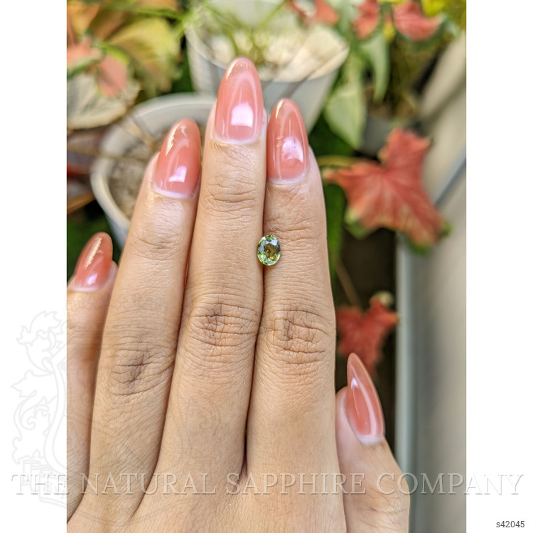 0.77 Ct. Yellowish Green Sapphire from Ceylon (Sri Lanka)
