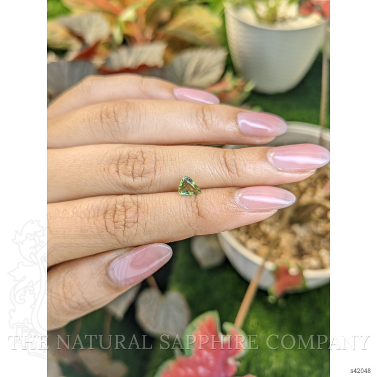 0.74 Ct. Yellowish Green Sapphire from Ceylon (Sri Lanka)