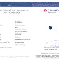 8.13 Ct. Blue Sapphire from Ceylon (Sri Lanka) Pdf