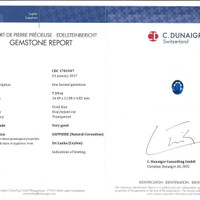 7.19 Ct. Blue Sapphire from Ceylon (Sri Lanka) Pdf