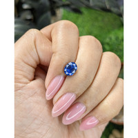1.61 Ct. Blue Sapphire from Ceylon (Sri Lanka) Life Style