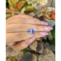 4.93 Ct. Bi Color / Parti Sapphire from Ceylon (Sri Lanka) Life Style