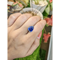 3.62 Ct. Blue Sapphire from Ceylon (Sri Lanka) Life Style