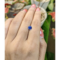 1.10 Ct. Blue Sapphire from Ceylon (Sri Lanka) Life Style