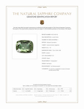 1.01 Ct. Green Sapphire from Montana Scan Report