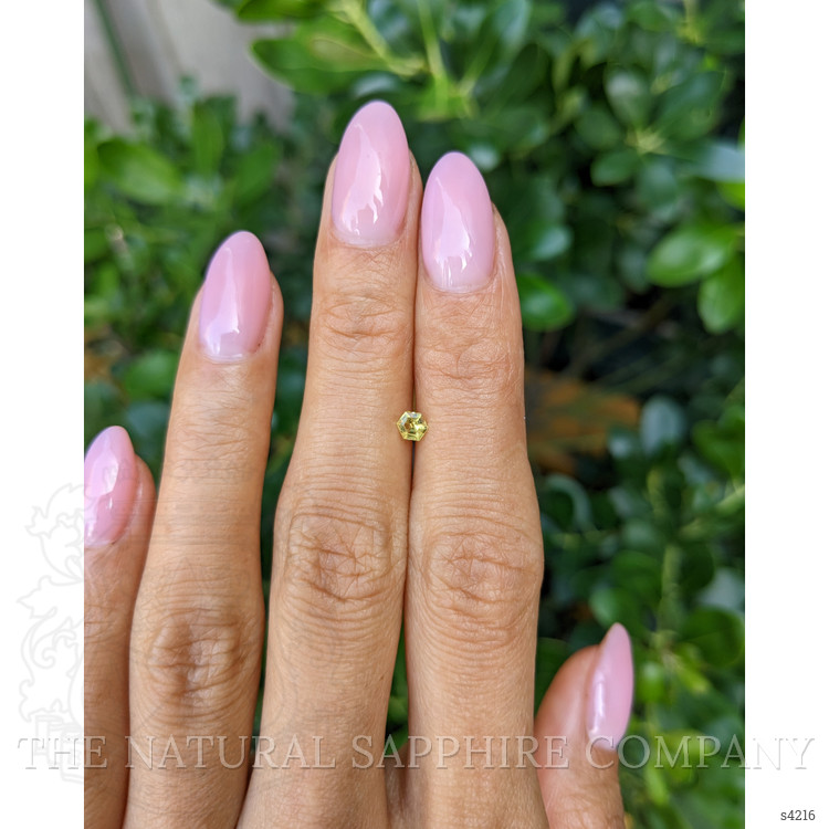 0.23 Ct. Yellowish Green Sapphire from Ceylon (Sri Lanka)