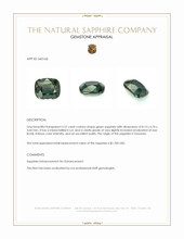 Jewelry Appraisal