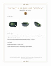 3.19 Ct. Bluish Green Sapphire from Ceylon (Sri Lanka) Appraisal
