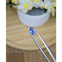 0.90 Ct. Blue Sapphire from Ceylon (Sri Lanka) Life Style
