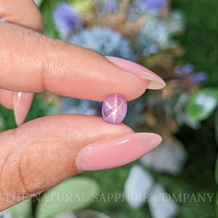 1.83 Ct. Pink Star Sapphire from Ceylon (Sri Lanka)