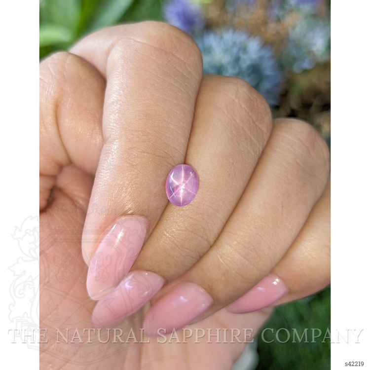 1.83 Ct. Pink Star Sapphire from Ceylon (Sri Lanka)