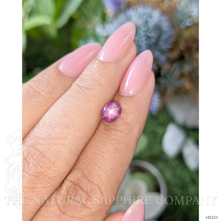 1.77 Ct. Purplish Pink Star Sapphire from Ceylon (Sri Lanka)