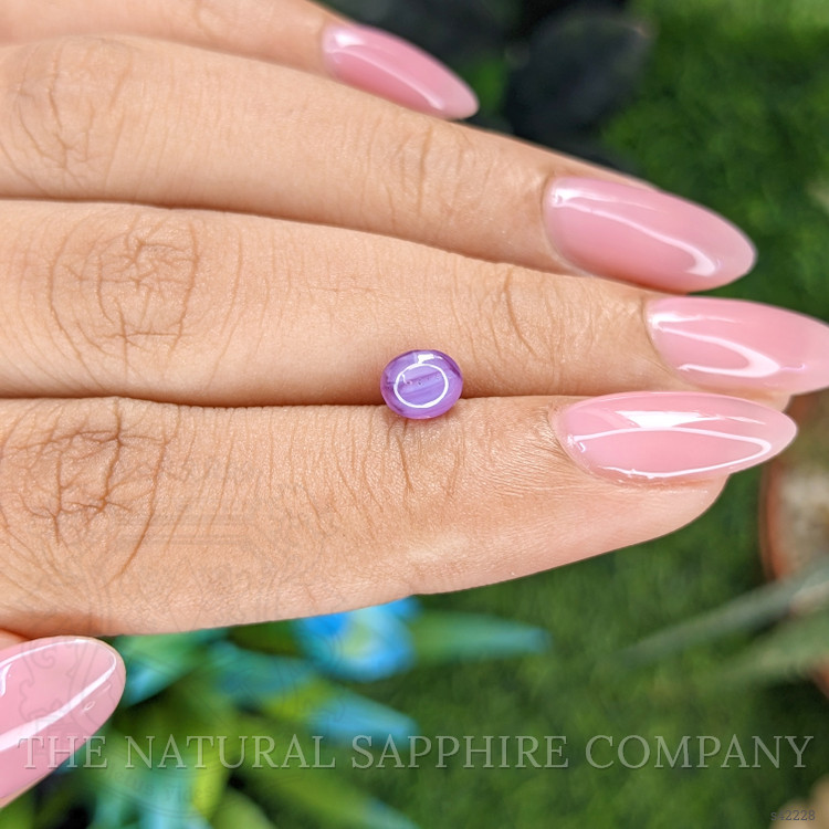1.20 Ct. Purple Star Sapphire from Ceylon (Sri Lanka)